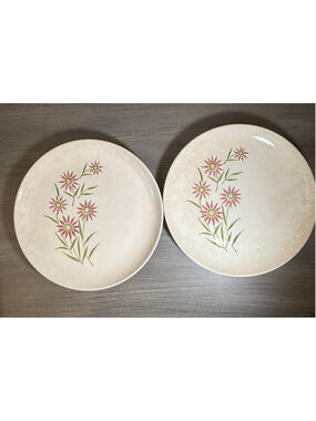 2 vintage Stetson China 10” dinner plates 1950s hand-painted floral design MCM